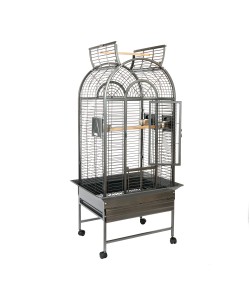 Rainforest Ecuador II Medium Bird Cage - Antique